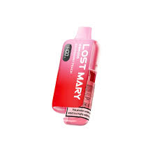 Lost Mary BM6000 Prefilled Pod Kit