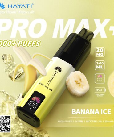 Hayati Pro Max 6000 Prefilled Pod